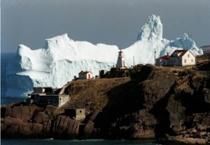 Newfie Iceberg